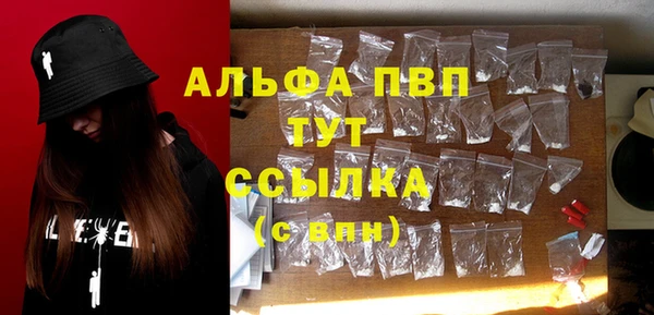 гидра Заводоуковск